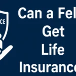 felon get life insurance