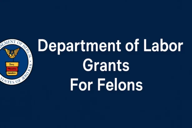 Department of Labor Grants For Felons