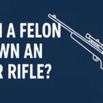 felon own an air rifle