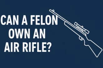 felon own an air rifle