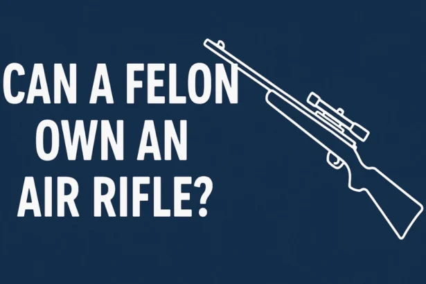 felon own an air rifle