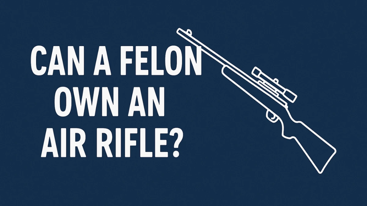 Can A Felon Hunt With An Air Rifle In Wisconsin