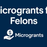 microgrants for felons