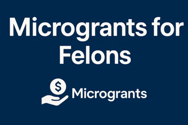 microgrants for felons