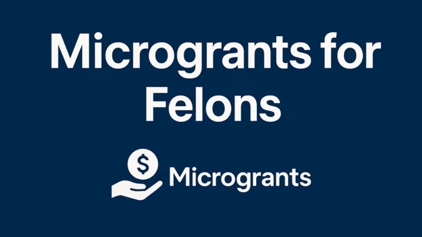 microgrants for felons