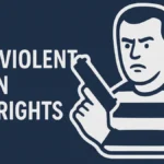 non-violent felon gun rights