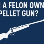Felon Own a Pellet Gun