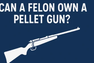 Felon Own a Pellet Gun