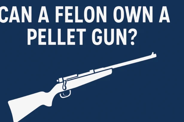 Felon Own a Pellet Gun