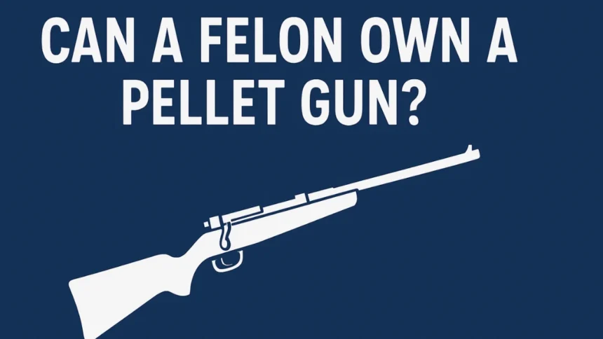 Felon Own a Pellet Gun