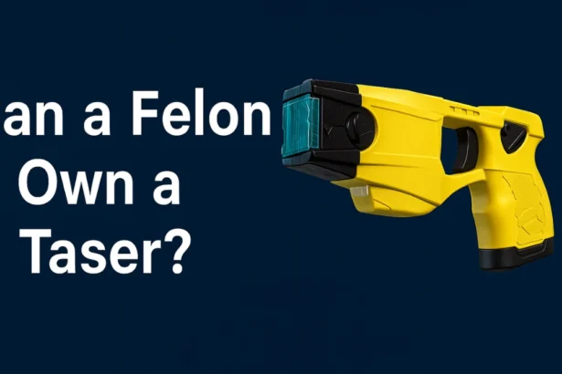 can felon own a taser