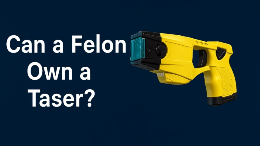 can felon own a taser