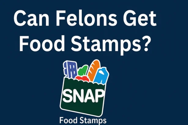 Can Felons Get Food Stamps
