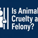 Is Animal Cruelty a Felony