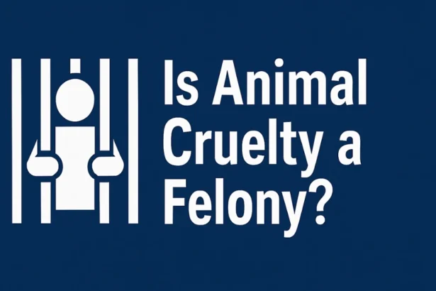 Is Animal Cruelty a Felony