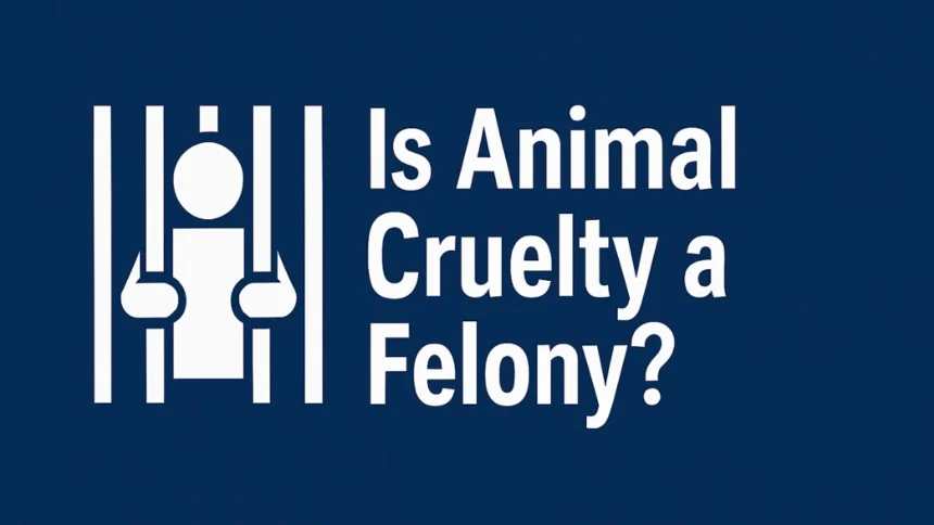 Is Animal Cruelty a Felony