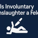 Is Involuntary Manslaughter a Felony
