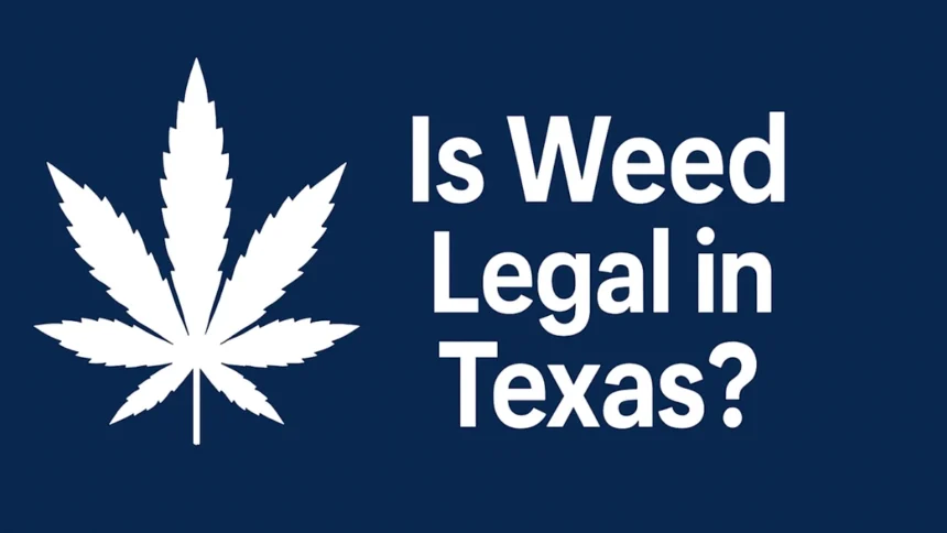 Is Weed Legal in Texas