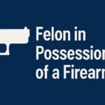 Felon in Possession of a Firearm