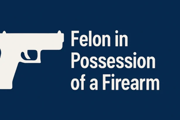 Felon in Possession of a Firearm