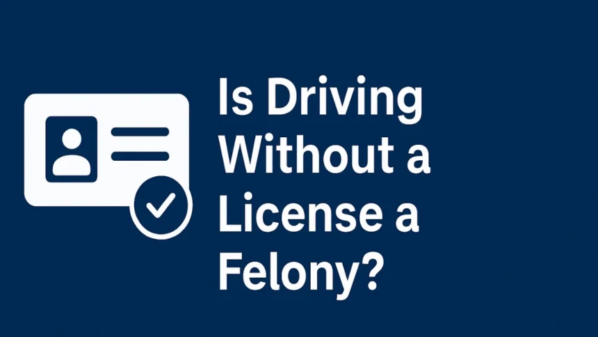 Is Driving Without a License a Felony