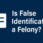 Is False Identification a Felony