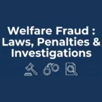 Welfare Fraud in USA