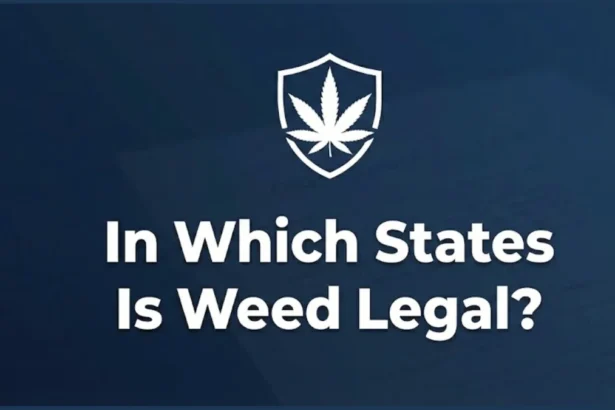 In Which States Is Weed Legal