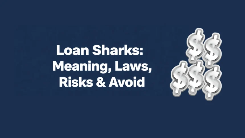 Loan Sharks Meaning, Laws, Risks