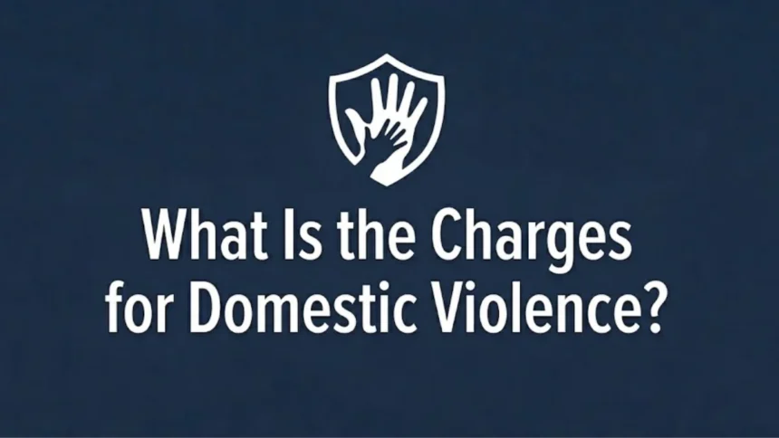 What Is the Charges for Domestic Violence